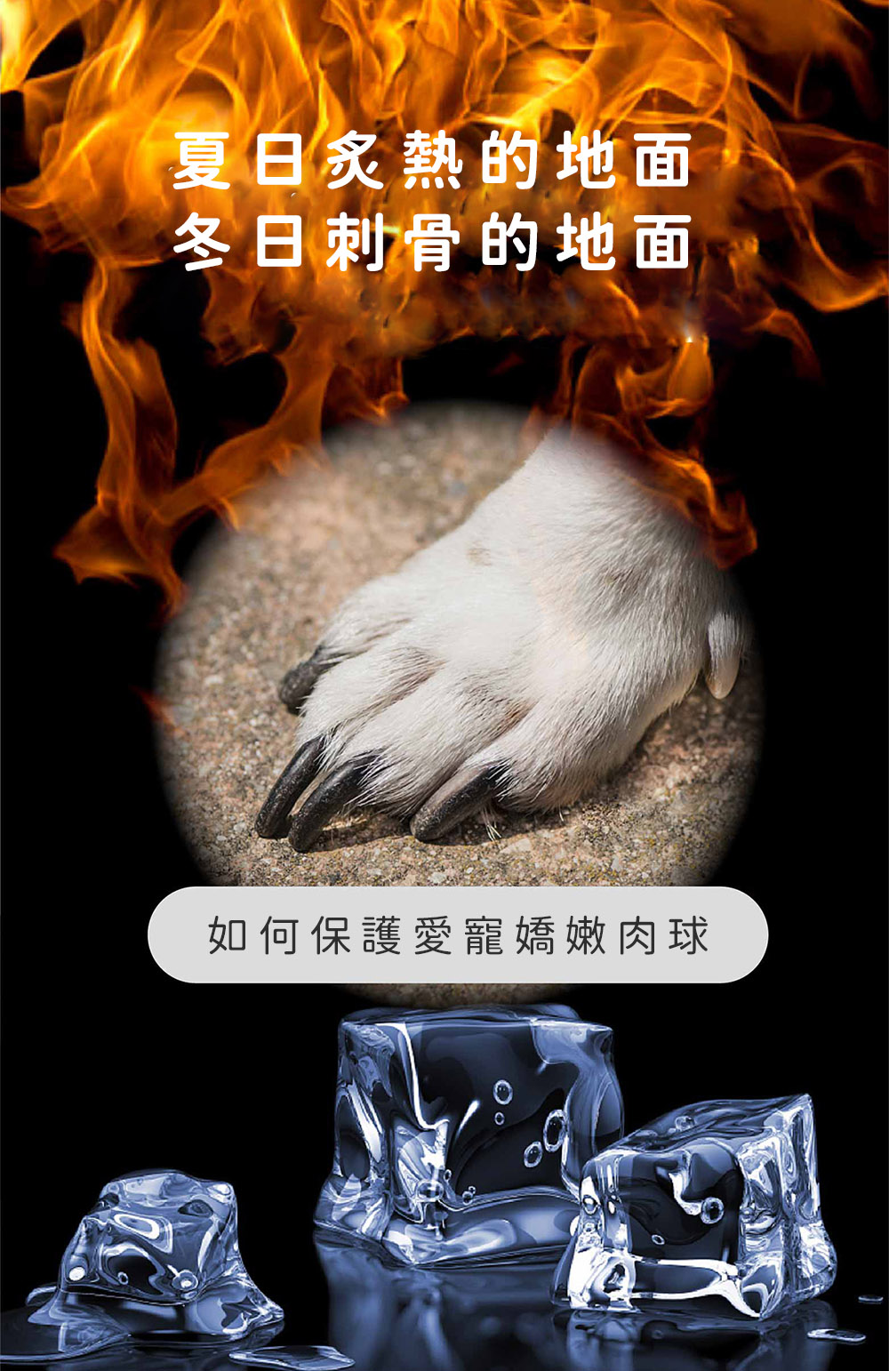 不管夏日炙熱,還是冬日冷冽的地面都不怕