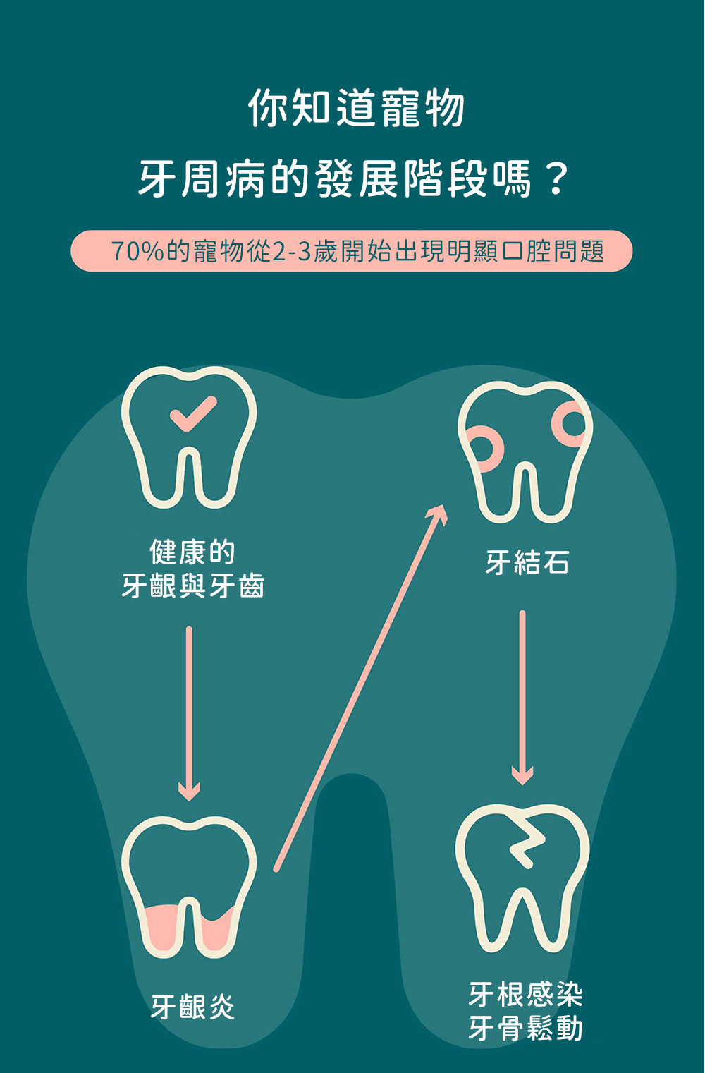 70%的寵物從兩三歲開始出現口腔問題