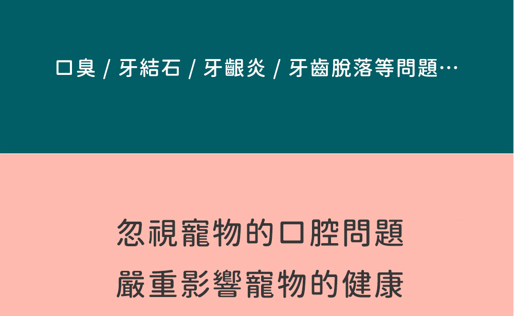 寵物口腔問題可能嚴重影響寵物健康