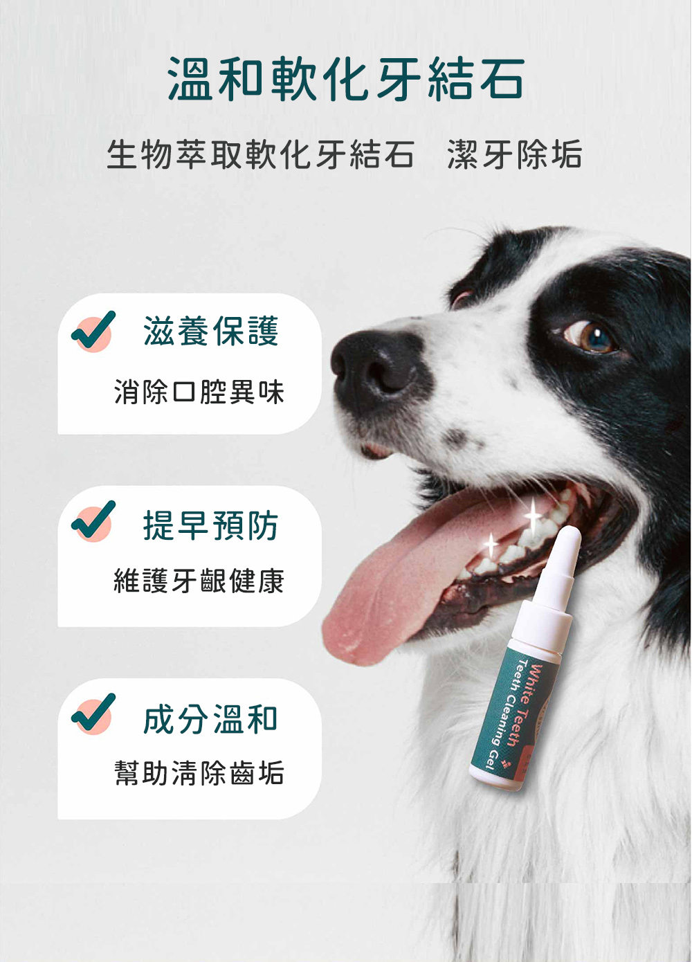 生物萃取軟化牙結石,溫和除垢
