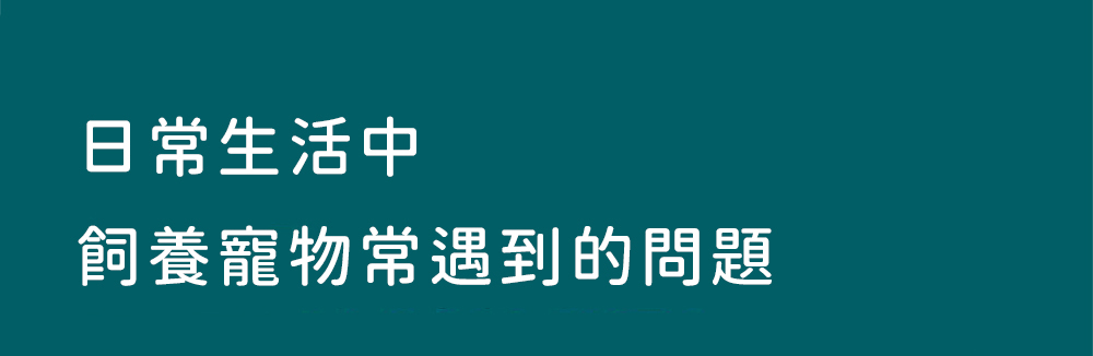 日常生活中，飼養寵物常遇到的問題