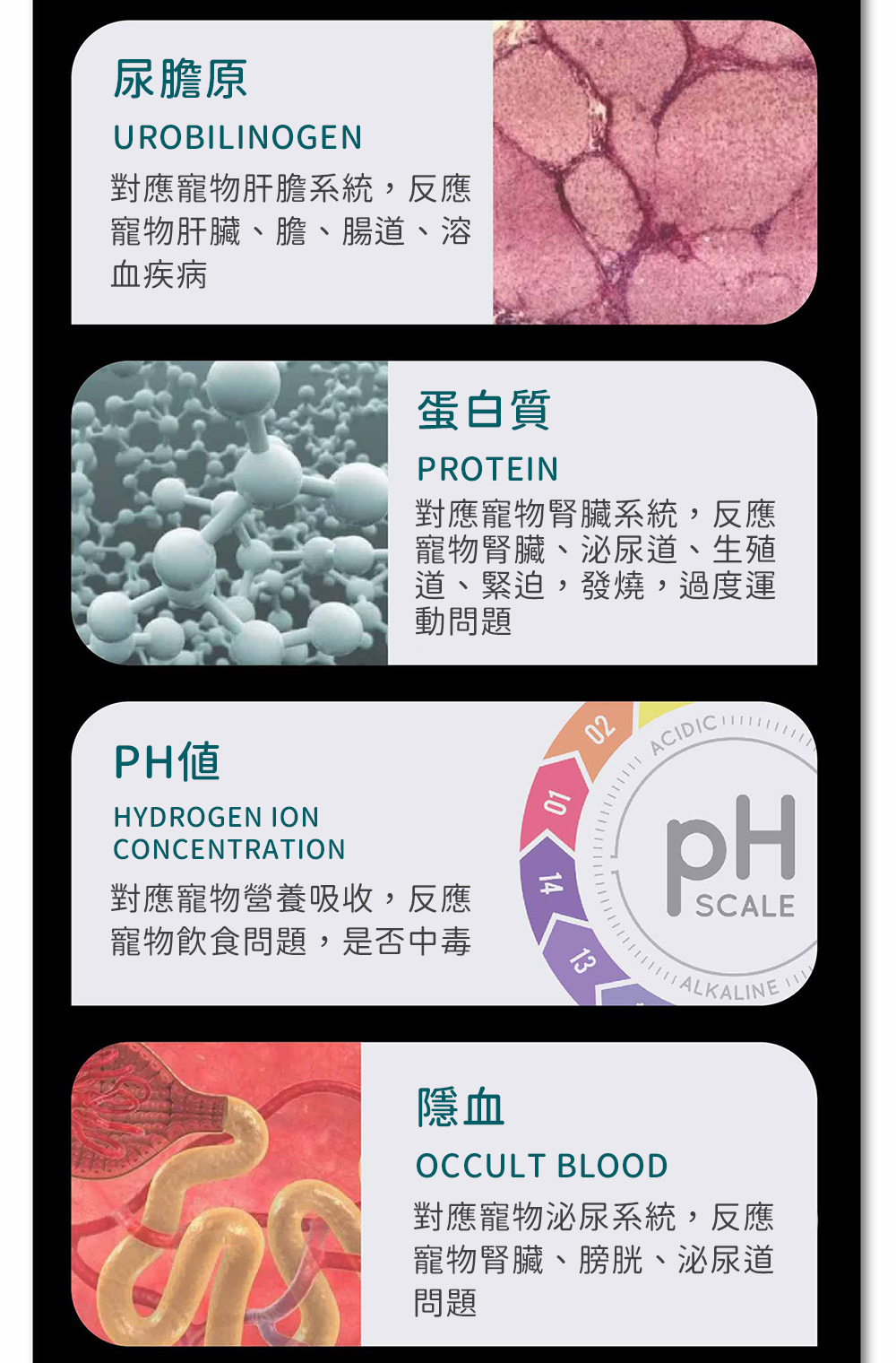 寵物常見相關疾病