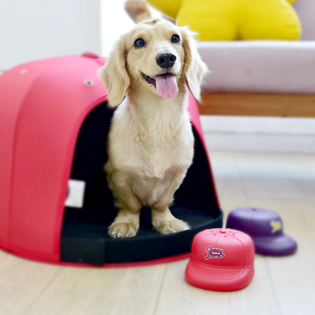 Playmate啾啾玩具-潮流紅