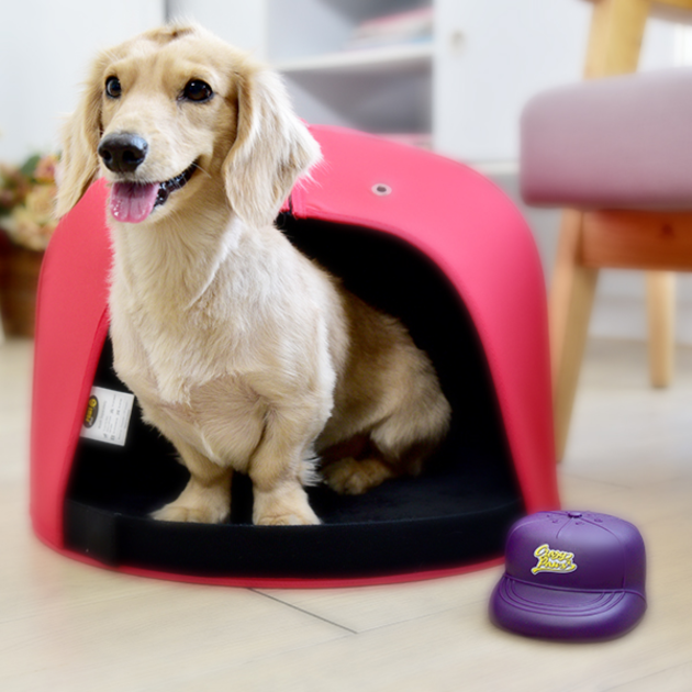 Playmate啾啾玩具-潮流紅